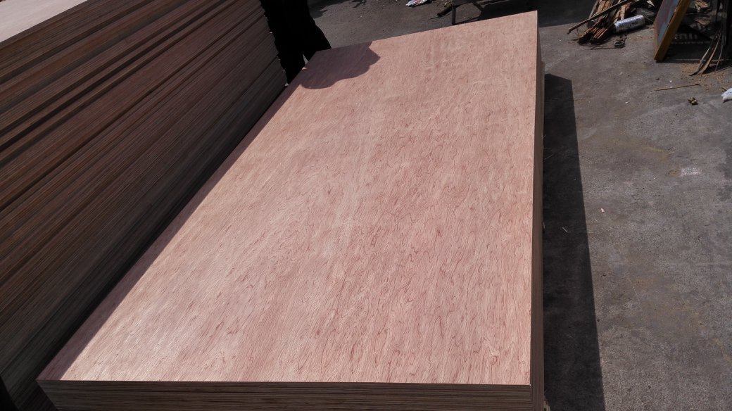 Bingtangor Plywood