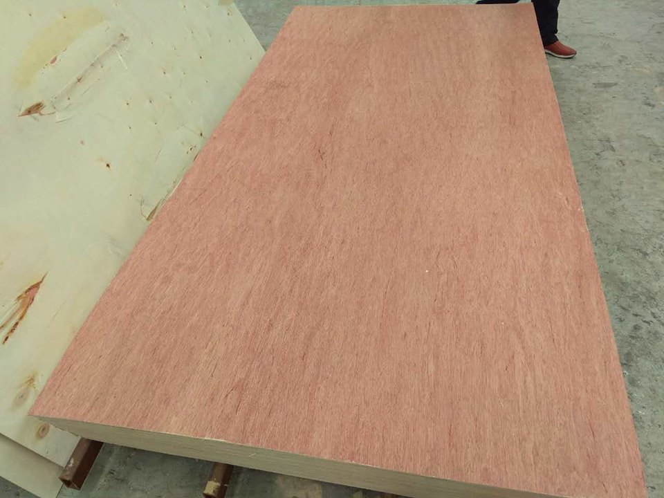 Bingtangor Plywood