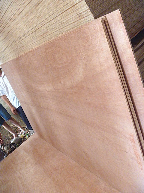 Okoume Plywood