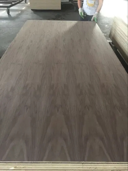 Black Walnut Face Fancy Plywood
