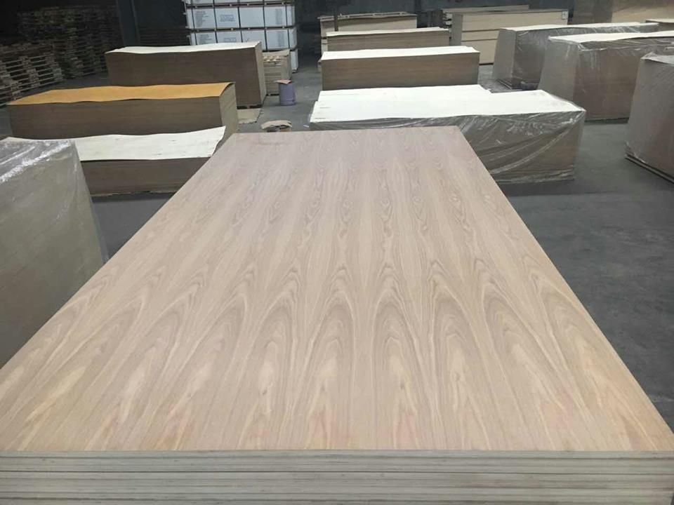 Ash Face Fancy Plywood